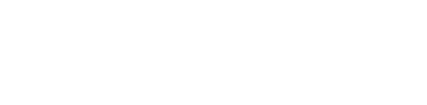 Fond Social Européen (FSE)