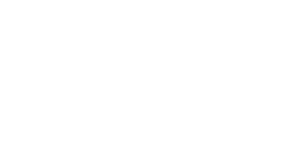 Fond Social Européen (FSE)
